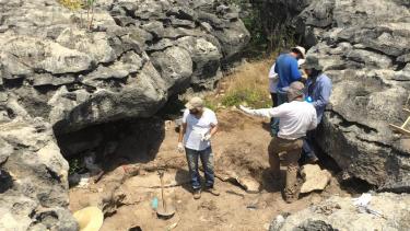 Un investigador argentino participó de un estudio sobre aves fósiles encontradas en grietas de Brasil