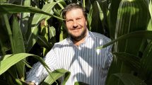 Imagen de Tiene campos en Argentina y EE.UU. y 150.000 seguidores en X: «El negocio de la soja es más chico que el del maíz»