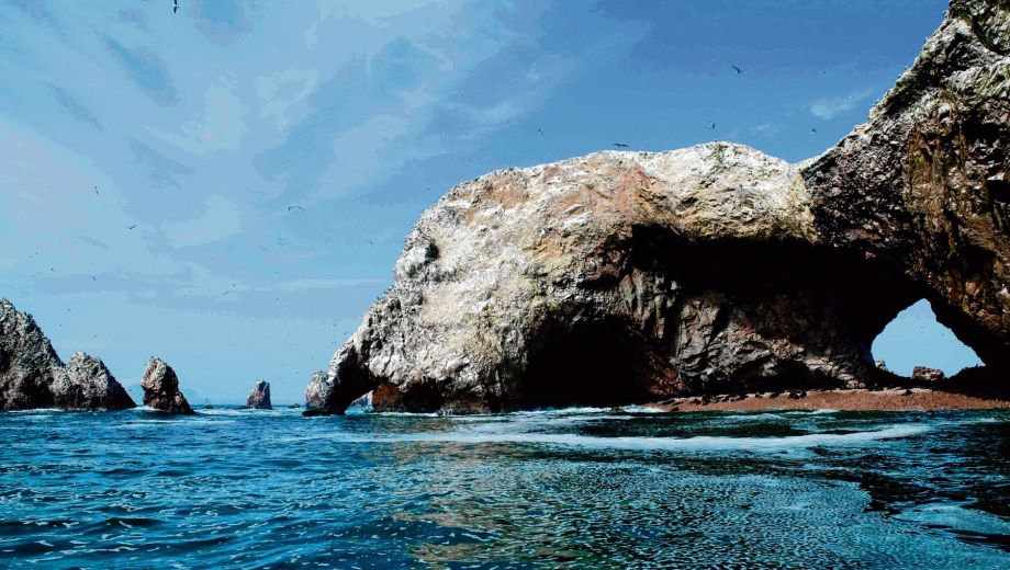 Islas Ballestas. Gentileza Promperú. 