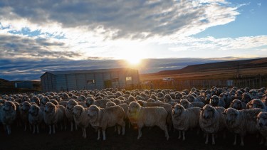 Avanza el piloto de bonos de carbono en Región Sur: analizan muestras de 60.000 hectáreas en Buenos Aires