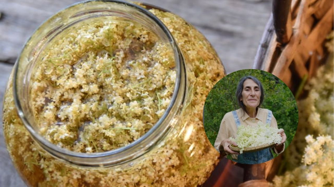 El champagne de sauco de Sara Itkin, la médica yuyera de Bariloche: una receta natural con flores patagónicas