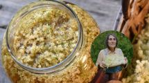Imagen de El champagne de sauco de Sara Itkin, la médica yuyera de Bariloche: una receta natural con flores patagónicas