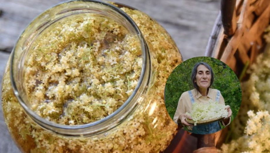 El champagne de sauco es apenas un ejemplo de cómo Itkin transforma los ciclos naturales en oportunidades de bienestar.