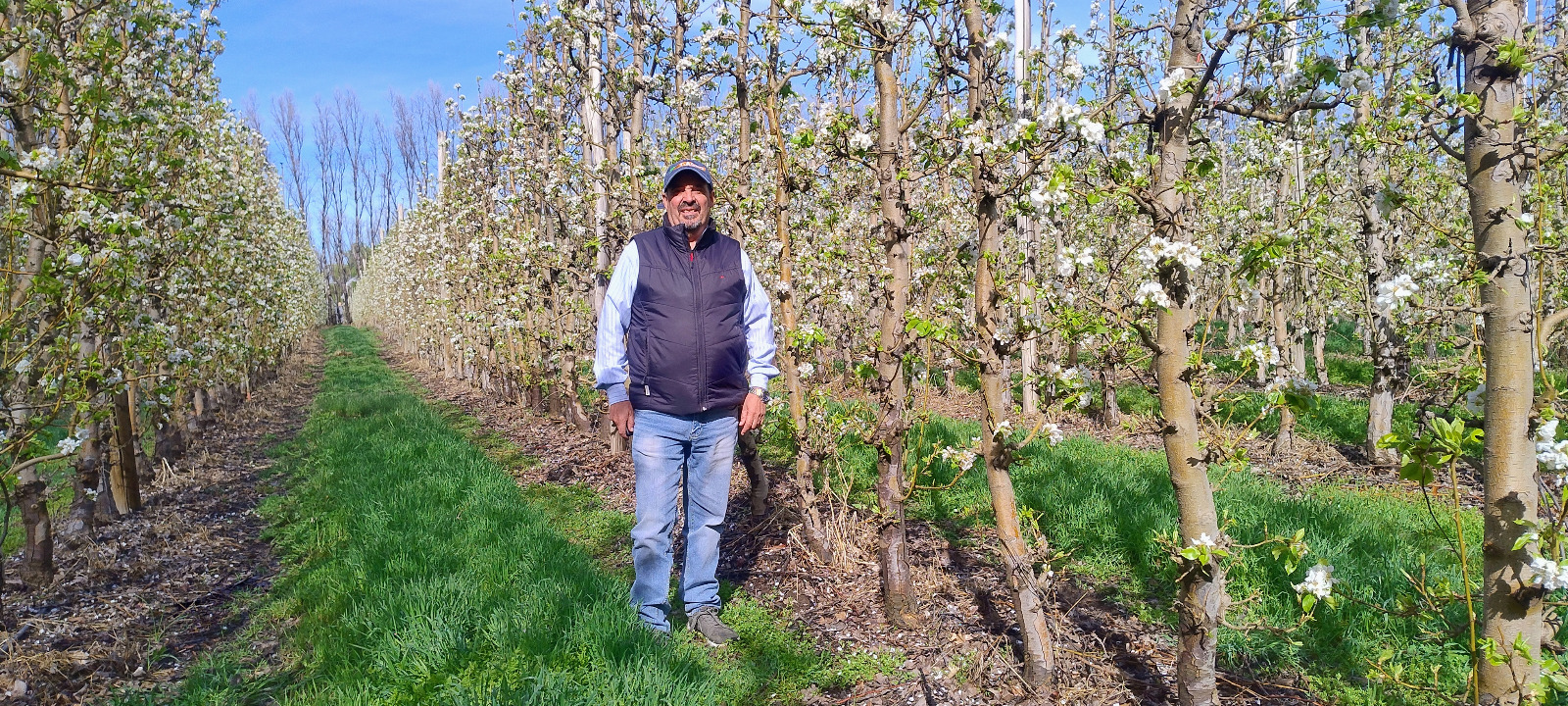Chimpay, Río Negro. Julio Dillon, gerente de Producción de Emelka. Una empresa en constante crecimiento con 500 ha plantadas.