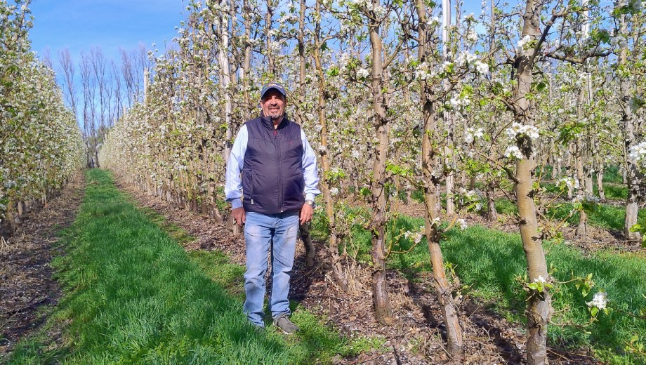 Chimpay, Río Negro. Julio Dillon, gerente de Producción de Emelka. Una empresa en constante crecimiento con 500 ha plantadas.