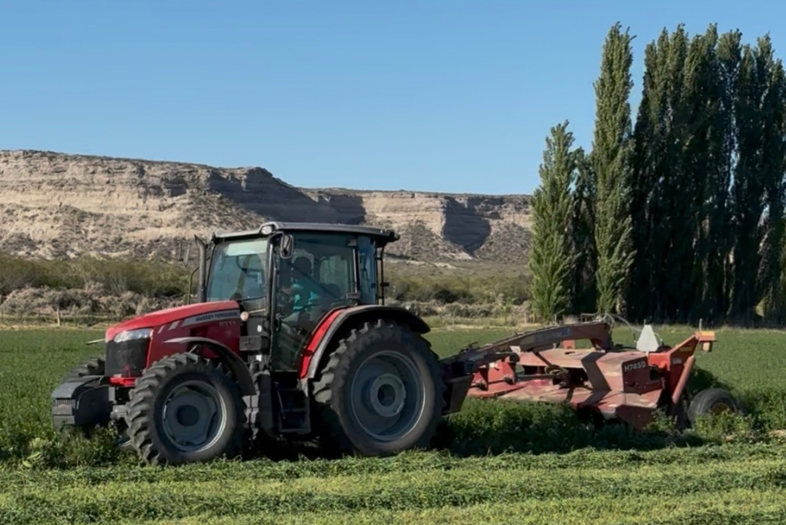 Ingeniero Huergo, Río Negro. LG Agropecuaria. Producción de alfalfa para cría y engorde de ganado en una empresa netamente familiar.