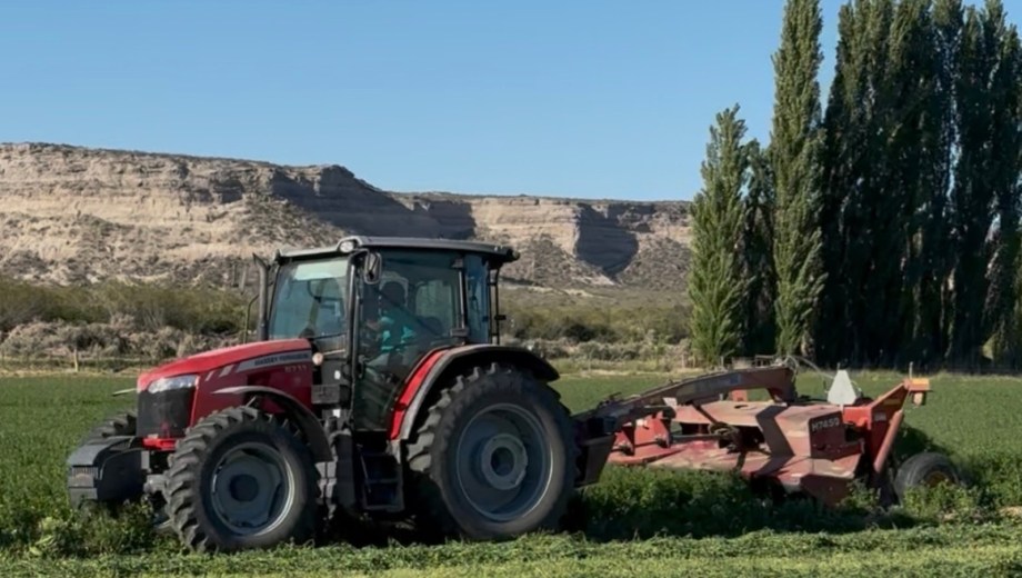 Ingeniero Huergo, Río Negro. LG Agropecuaria. Producción de alfalfa para cría y engorde de ganado en una empresa netamente familiar.