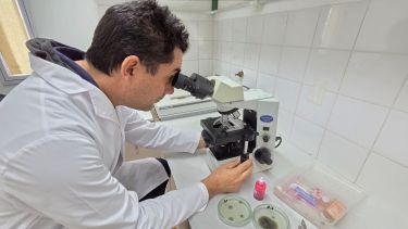 El rol clave del Laboratorio de Hongos Comestibles en Centenario para el desarrollo del sector