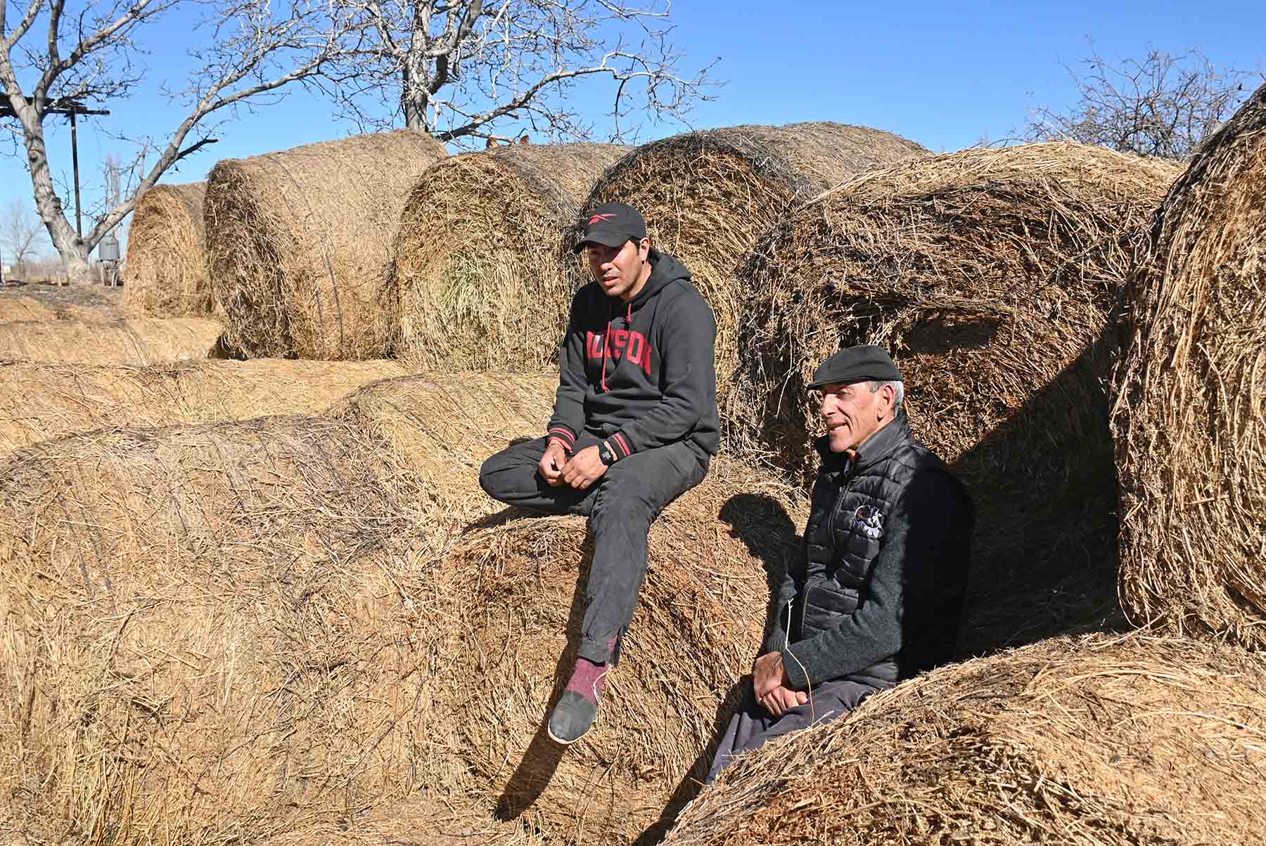Lamarque, Río Negro. Mario Rodríguez fue empleado día y noche. Hoy hace agricultura y ganadería junto a su hijo en tres chacras propias.