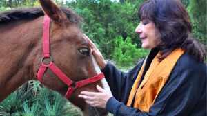 Predicciones del Horóscopo Chino 2026: ¿cómo será el año del Caballo de Fuego para cada signo?