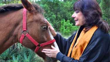 Predicciones del Horóscopo Chino 2026: ¿cómo será el año del Caballo de Fuego para cada signo?