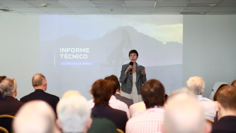 Latorre aseguró que las 12 áreas de exploración incluidas en el llamado se distribuyen en las dos principales cuencas productivas de Mendoza.
