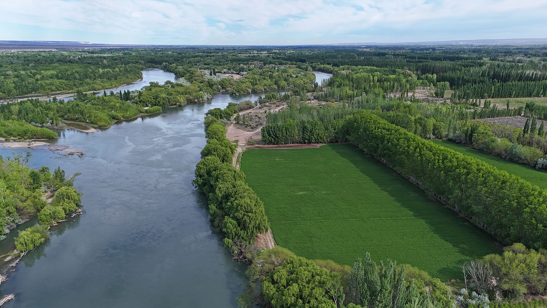 Ingeniero Huergo, Río Negro. Franco Gutiérrez le da continuidad al legado familiar y apuesta a la actividad agropecuaria en el Alto Valle.
