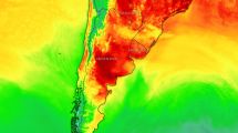 Imagen de Mapa del calor extremo: Argentina recibe el 2026 con temperaturas de 40°C y sin lluvia, qué pasa en la Patagonia