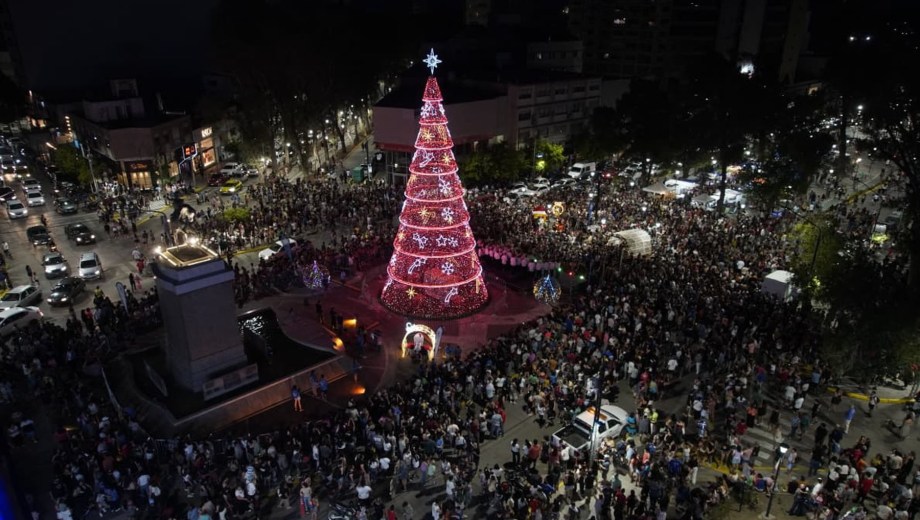 Árbol de Navidad de Neuquén. Foto: Gentileza Cecilia Maletti. 
