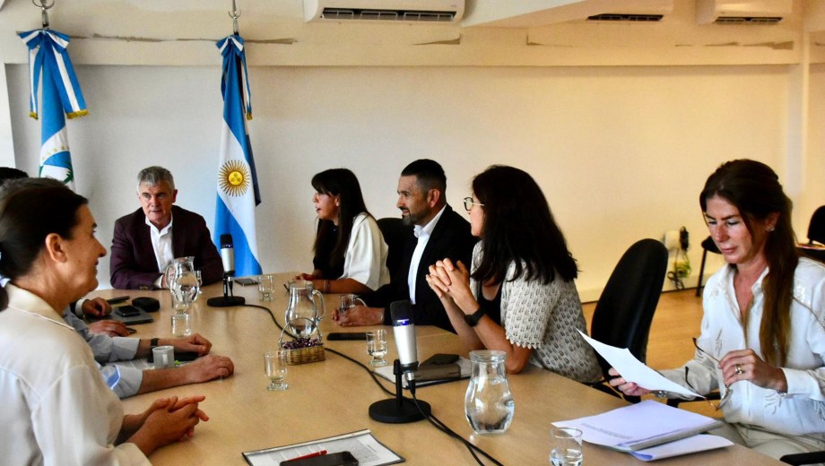 El Consejo volverá a reunirse en febrero para proseguir con algunos de los concursos en marcha. (Matías Subat)