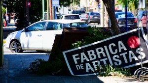 Operativo nocturno en Neuquén capital para la recolección de residuos de gran porte