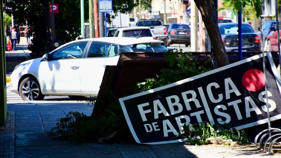 frentistas domiciliarios y comerciantes del centro dejaron sus residuos de gran tamaño listos para el operativo nocturno (foto Matías Subat)