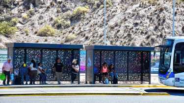 El sistema COLE estrenó nuevos refugios en sectores de mayor aglomeración de pasajeros en Neuquén