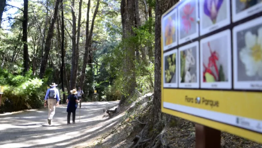 Los guardabosques municipales tienen a su cargo el Parque Municipal Llao Llao.  (foto de archivo)