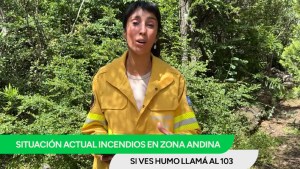 Incendios en Río Negro: “El riesgo es muy alto en esta parte del año”, destacaron desde el SPLIF