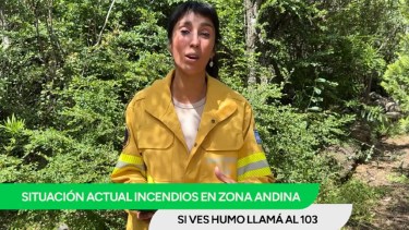 Incendios en Río Negro: “El riesgo es muy alto en esta parte del año”, destacaron desde el SPLIF