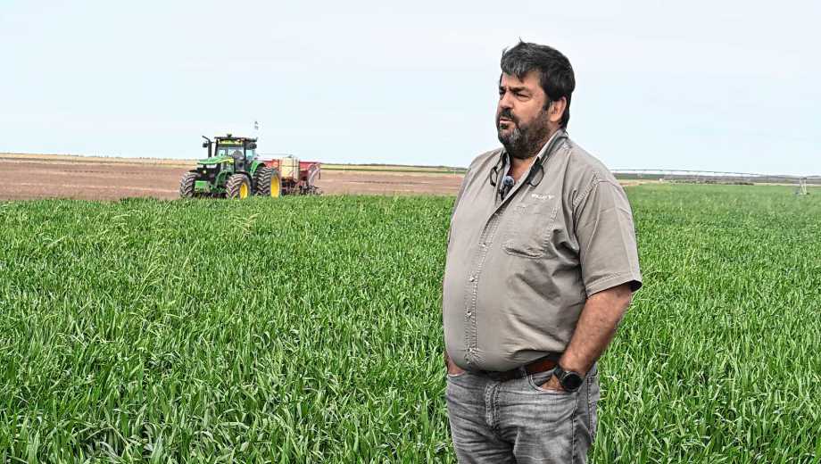 Carmen de Patagones, Buenos Aires. El gran productor de papas de Argentina tiene 2.750 hectáreas bajo riego entre el Valle Inferior y Valle Medio.