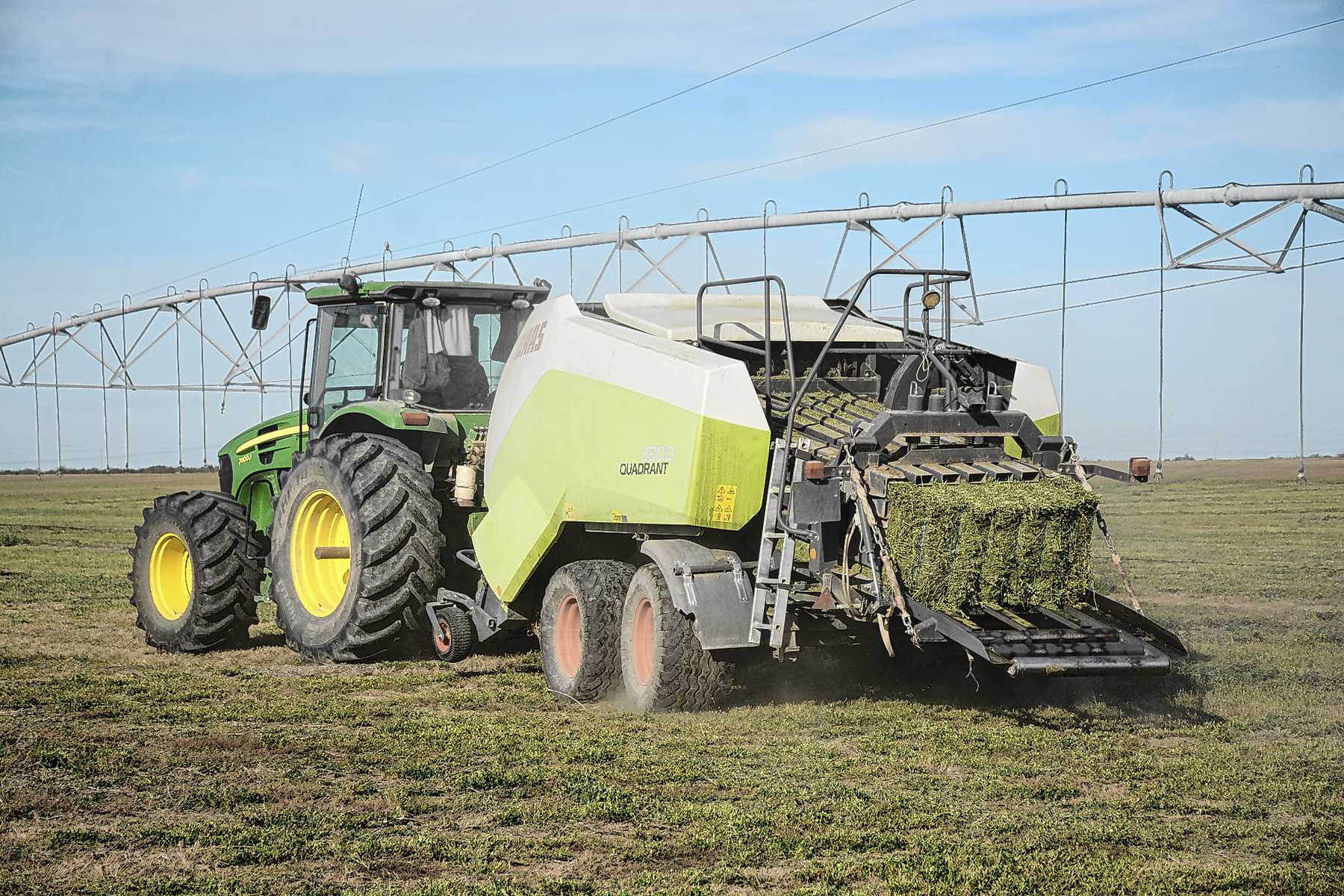 Colonia Josefa, Río Negro. Con más de mil hectáreas propias y alfalfa de otros chacareros, Agrónica exporta megafardos a todo el mundo.
