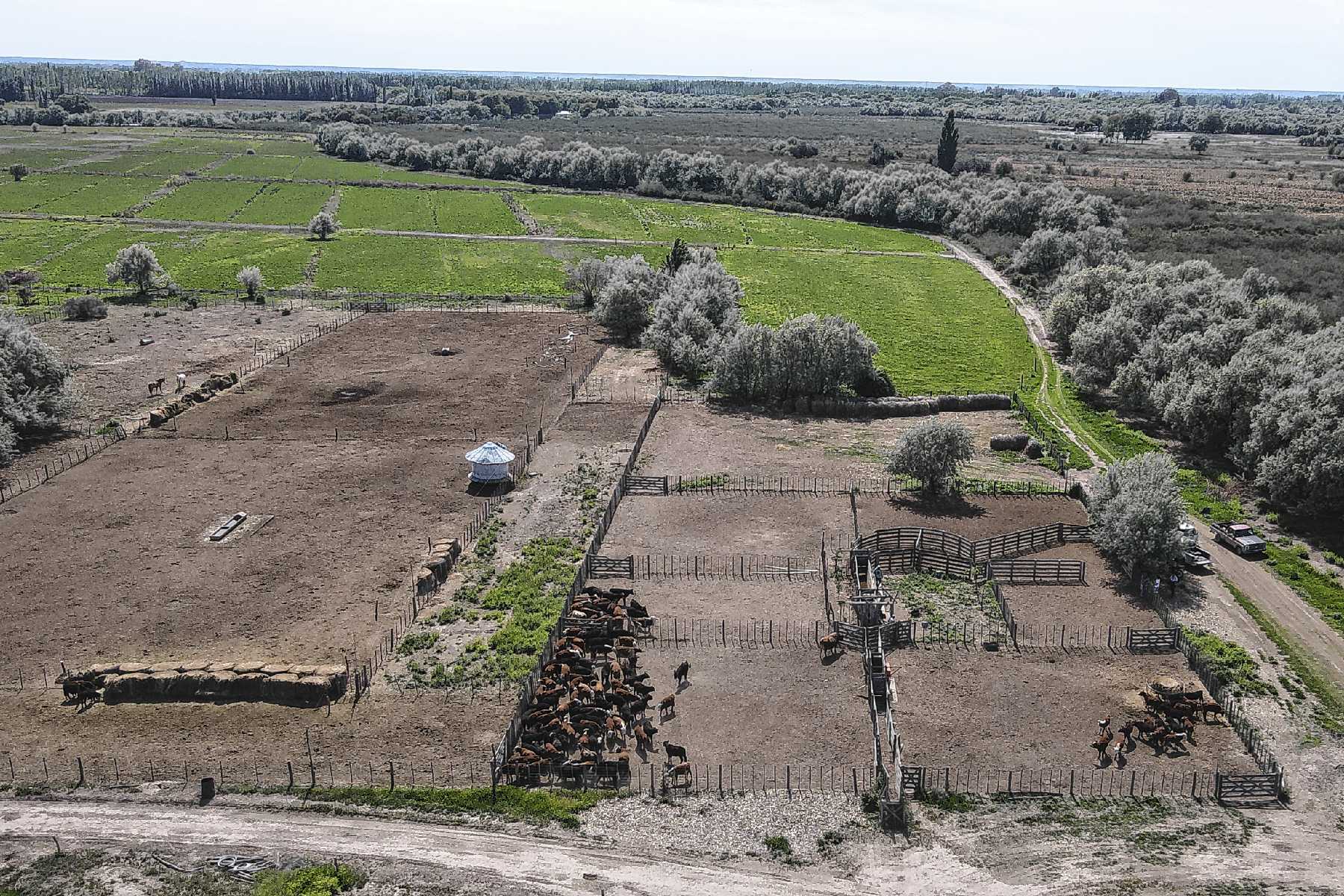 Pomoma, Río Negro.Nicolás Stier es agricultor, ganadero y también contratista: encontró en la maquinaria la llave de la rentabilidad.