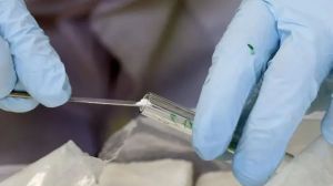 Concluyó la investigación por presunta cocaína adulterada en Neuquén: cuáles fueron los resultados