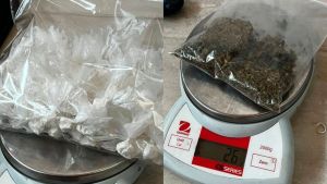 Una denuncia por ventas sospechosas terminó en un operativo antidrogas con un detenido en Chos Malal