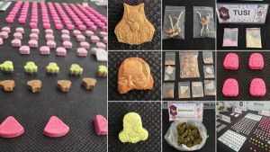 Viajó de Neuquén a La Plata para estudiar, pero la detuvieron por vender éxtasis, tusi y hongos alucinógenos