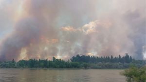Incendio en Guardia Mitre: más de 1.750 hectáreas afectadas y denuncia penal por negligencia