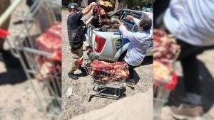 Secuestraron casi 2.500 kilos de carne en mal estado en Valle Medio previo a las fiestas de fin de año