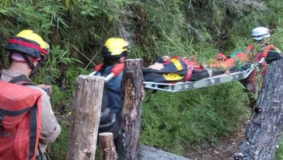 El operativo contó con la intervención de brigadistas especializados. Foto: gentileza.