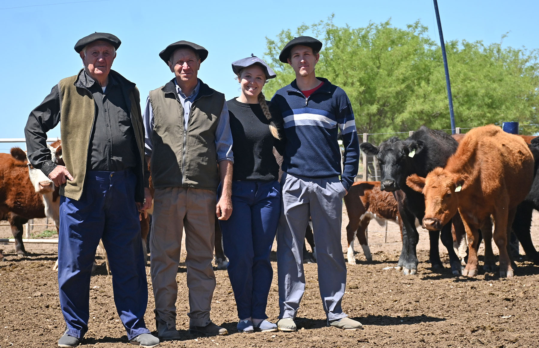 Choele Choel y Río Colorado, Río Negro. Los Giretti son una referencia en la cría bovina en secano, optimizando el manejo animal y el pasto, a veces escaso.