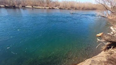 Un adolescente de 13 años fue arrastrado por el río Neuquén en Centenario: continúan la búsqueda