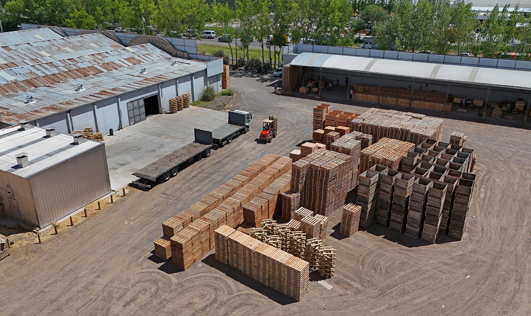 General Roca, Río Negro. Patagonia Envases procesa 50.000 toneladas de madera al año y fue pionero al producir el clásico cajón de frutas.