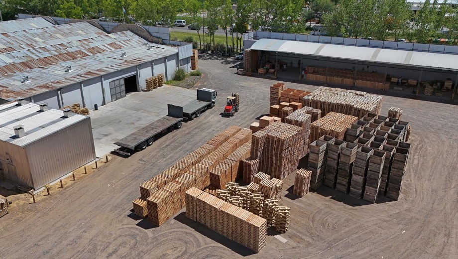 General Roca, Río Negro. Patagonia Envases procesa 50.000 toneladas de madera al año y fue pionero al producir el clásico cajón de frutas.