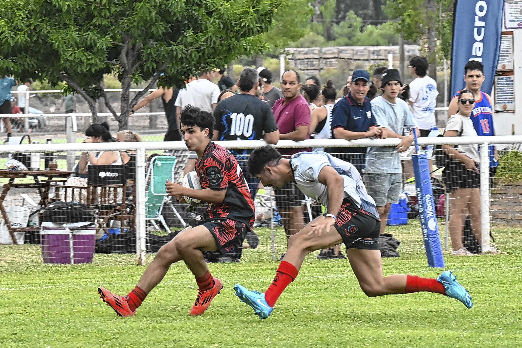 El Seven del Reencuentro volvió a ser una fiesta en el Roca Rugby Club