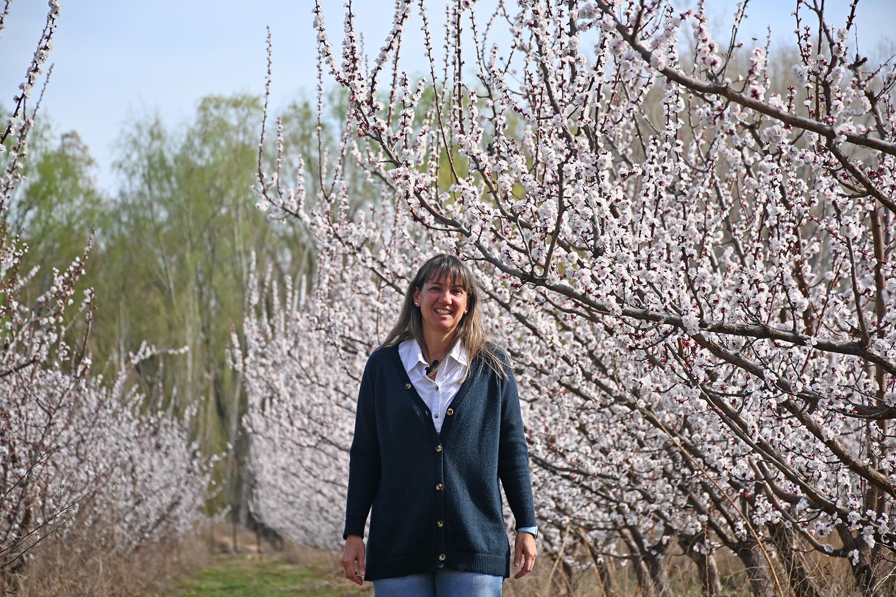 Senillosa, Neuquén. Cristina Cervi en una plantación de damascos en flor. La floración de los carozos a la vera del Limay fue retratada.