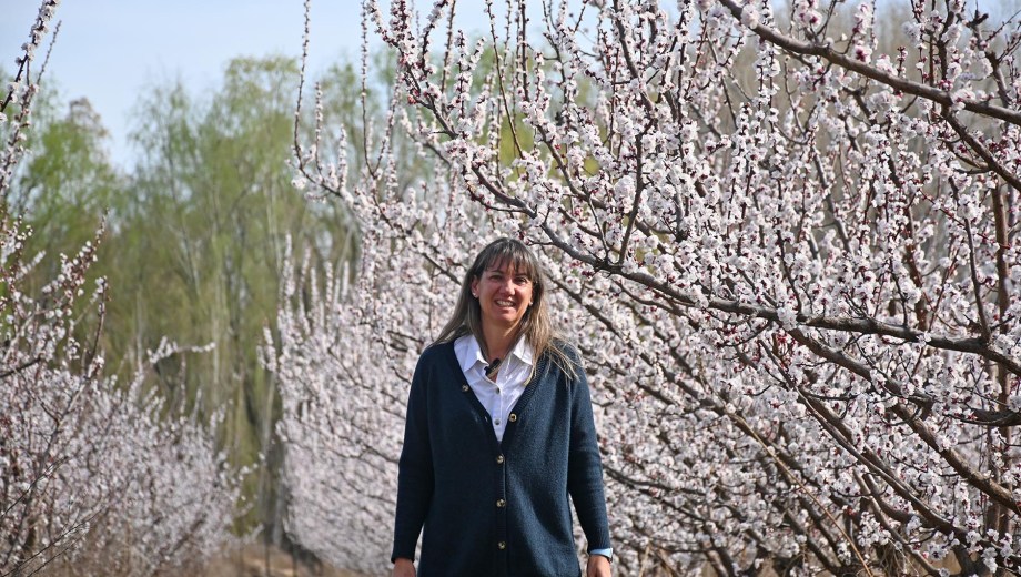 Senillosa, Neuquén. Cristina Cervi en una plantación de damascos en flor. La floración de los carozos a la vera del Limay fue retratada.