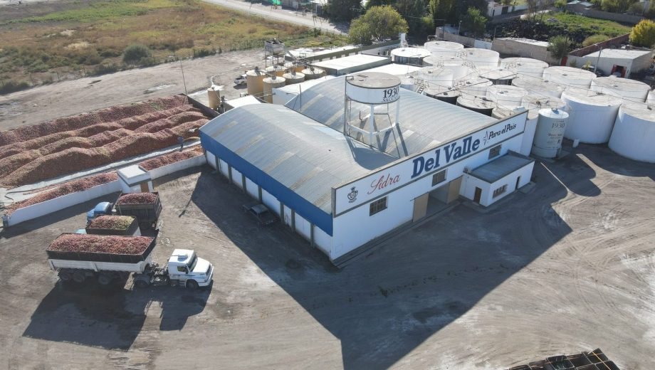 General Roca, Río Negro. Virginio Saccani rescató una bodega en 1957. Casi 70 años después, Sidra Del Valle se consolida como marca líder.