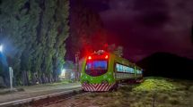 Imagen de En tren, de noche, de Bariloche a la estepa: un viaje rumbo a “la otra Patagonia”