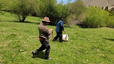 Detectan presencia de tucuras de alas manchadas en campos neuquinos: ¿cuáles son los pasos a seguir?