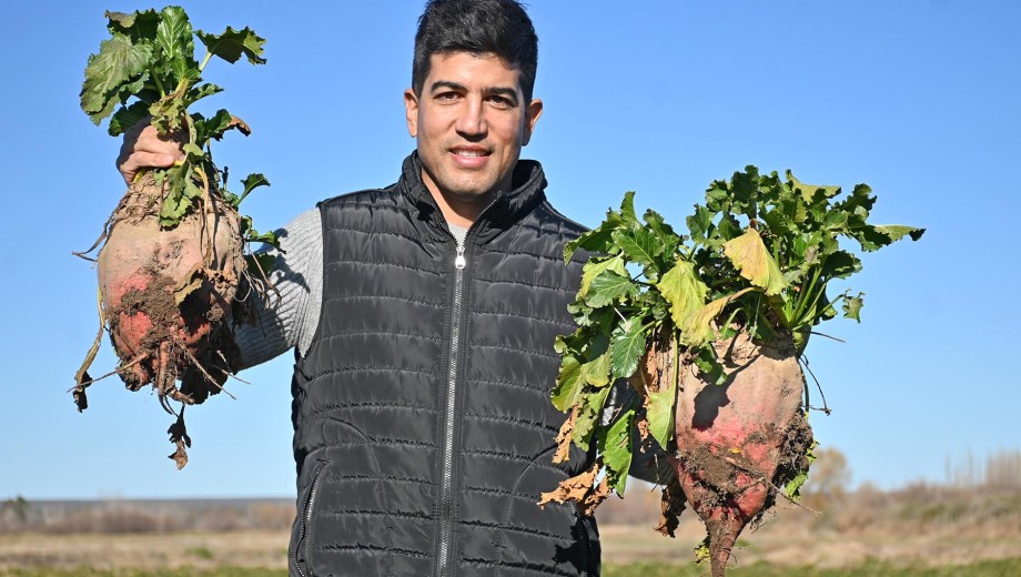 Valle Azul, Río Negro. Nicolás García, de Agropecuaria Don Manuel, logró 2.198 kilos de carne por hectárea a pasto con remolacha.