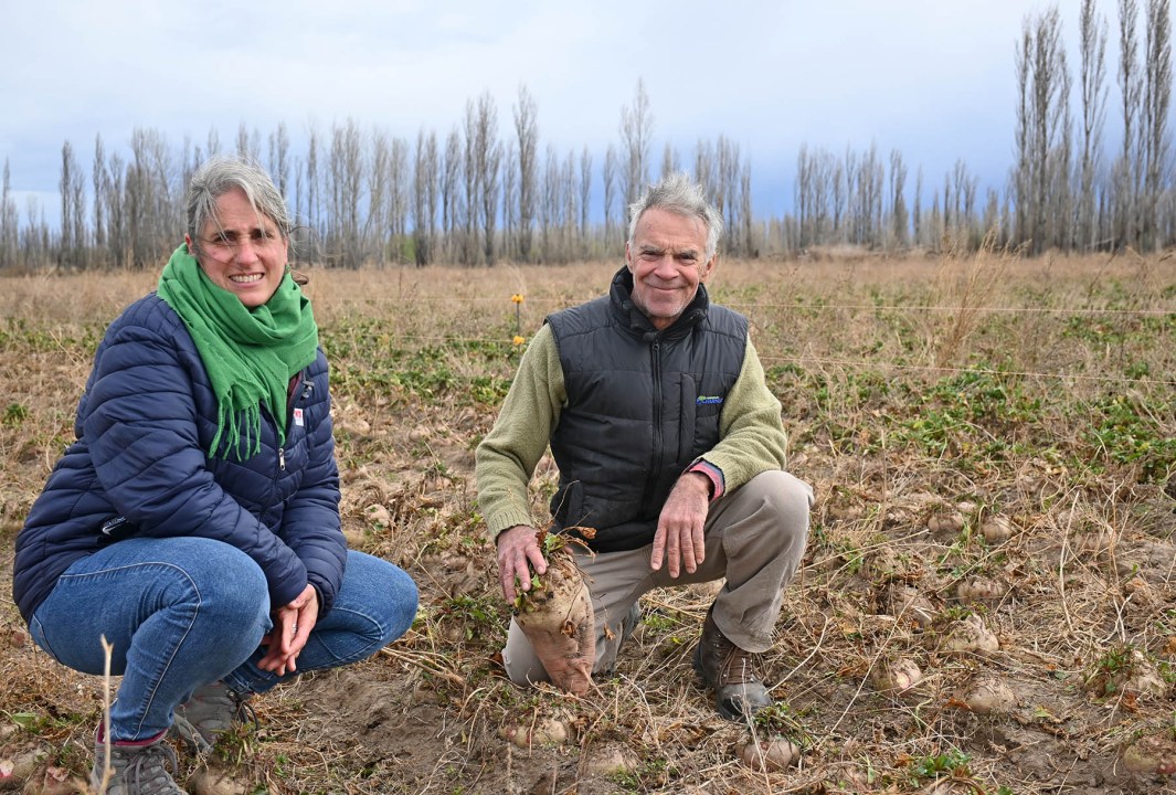 Verónica Favere, junto a un productor de remolacha forrajera en Valle Azul, Río Negro. Foto: archivo Florencia Salto.