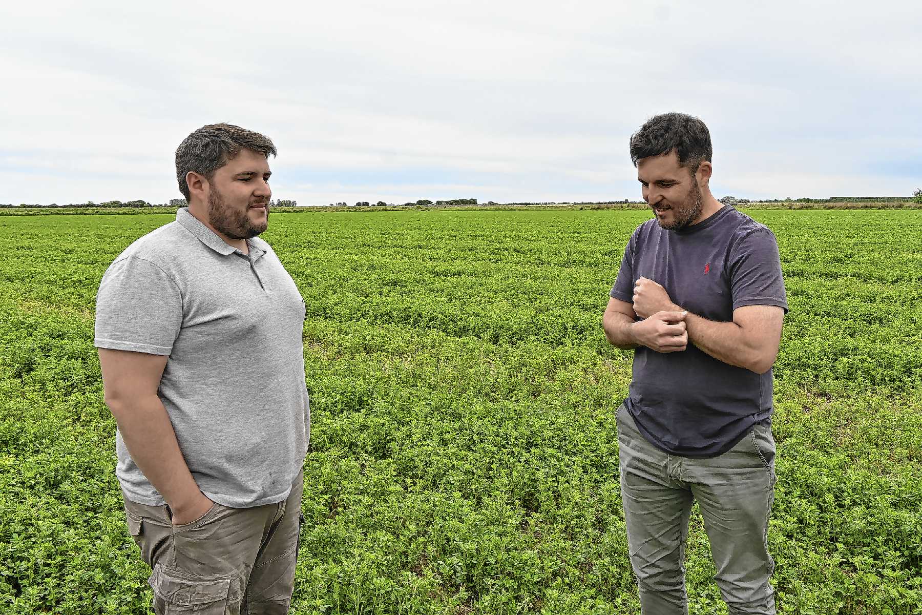 Viedma, Río Negro. Frente al aumento del precio del ternero, Agustín Paniz pateó el tablero recriando en el monte: 460 gramos diarios.