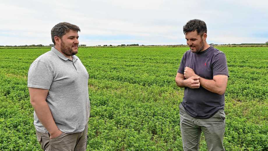 Viedma, Río Negro. Frente al aumento del precio del ternero, Agustín Paniz pateó el tablero recriando en el monte: 460 gramos diarios.
