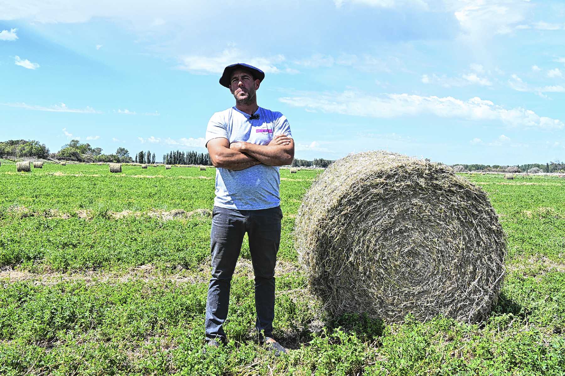 Viedma y Guardia Mitre, Río Negro. El éxito del ganadero Gonzalo Pazos se basa en complementar el secano en Guardia Mitre con el riego en el Idevi.